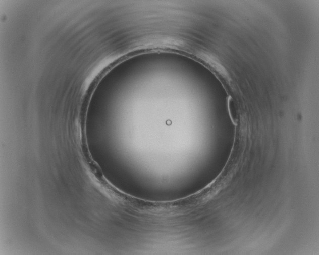 X0000070430936200606231914