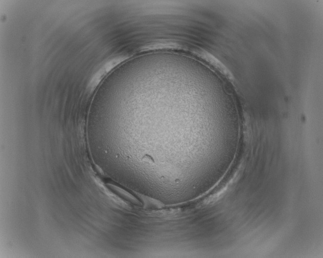 X0000070430937200606231914