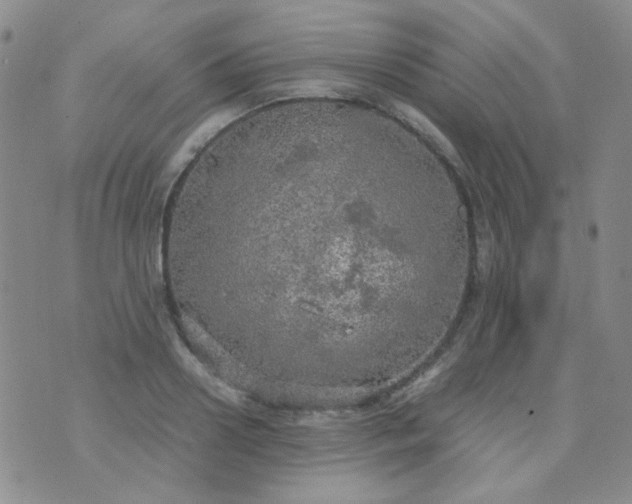 X0000070430938200606231914