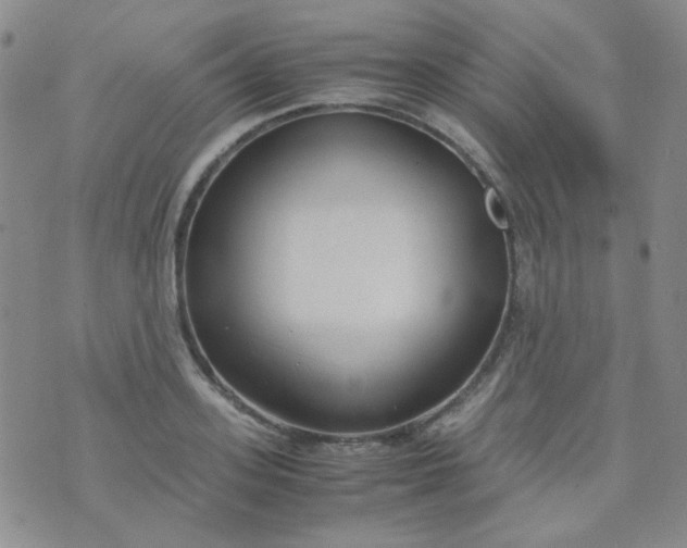 X0000070430939200606231914