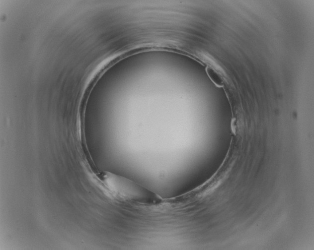 X0000070430940200606231914