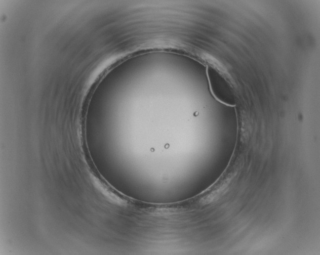 X0000070430942200606231914