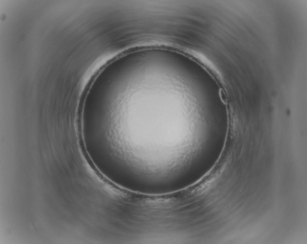 X0000070430943200606231914