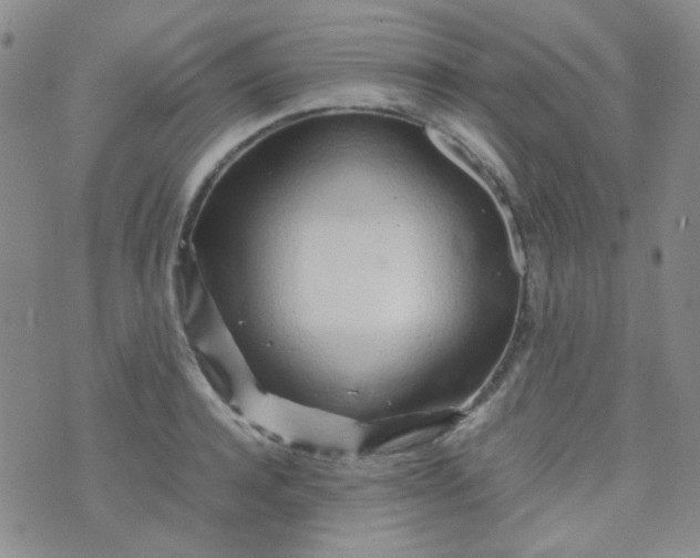 X0000070430944200606231914