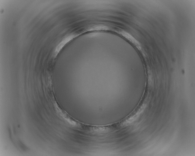 X0000070430945200606231914