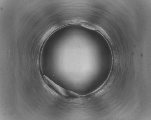 X0000070430946200606231914