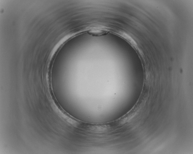 X0000070430947200606231914