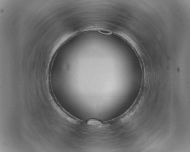 X0000070430949200606231914