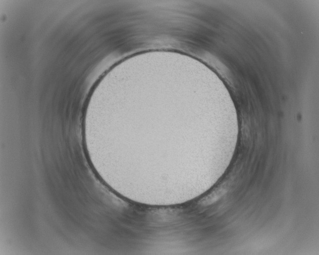 X0000070430950200606231914