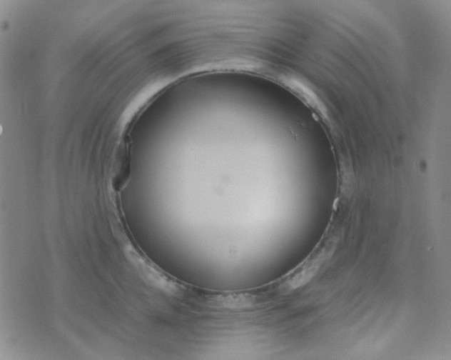 X0000070430952200606231915