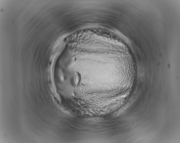 X0000070430953200606231915