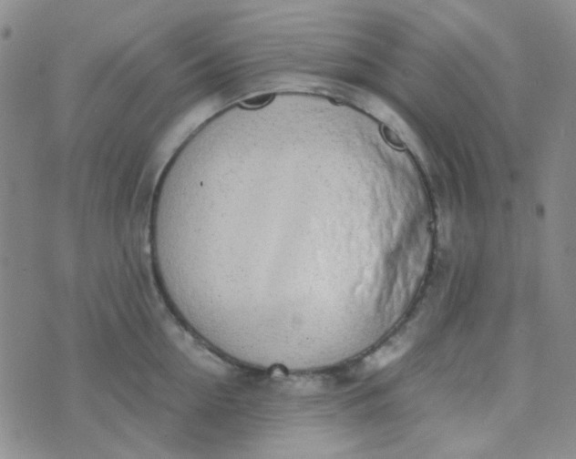 X0000070430954200606231915