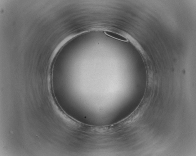 X0000070430955200606231915