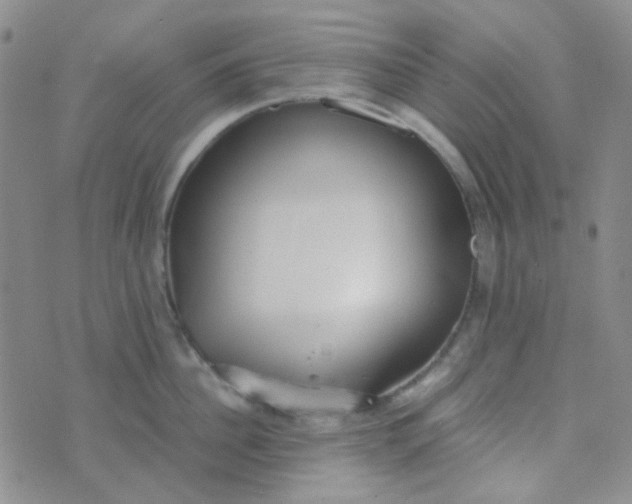 X0000070430956200606231915