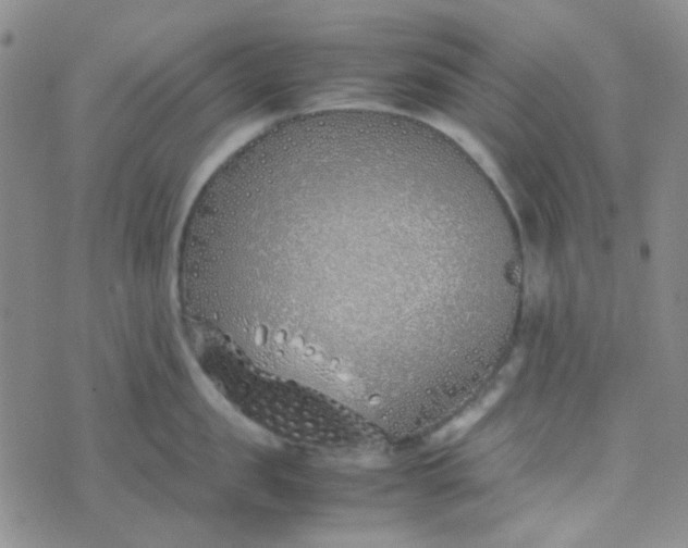 X0000070430957200606231915