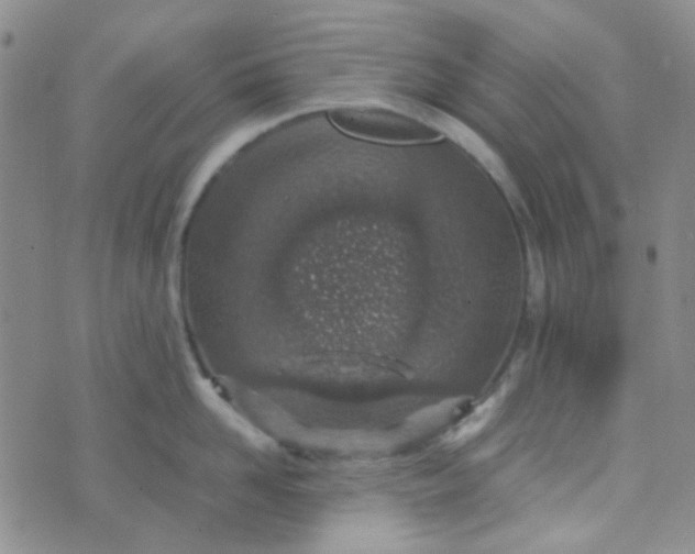 X0000070430958200606231915