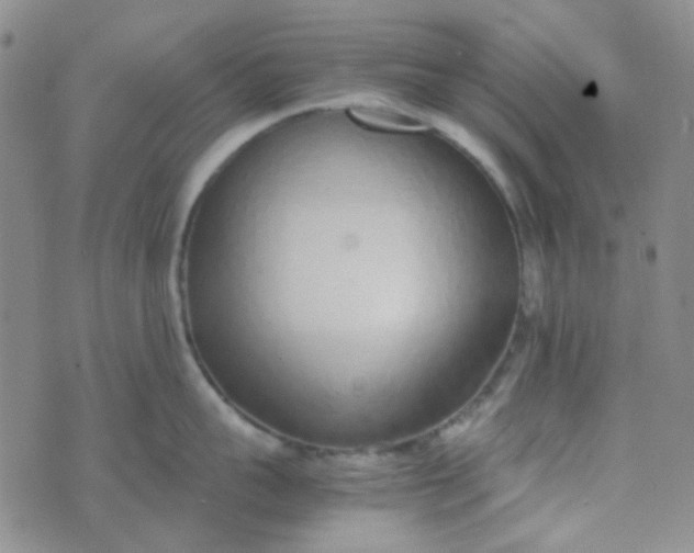 X0000070430959200606231915