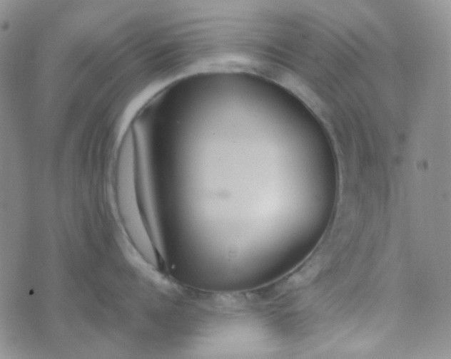 X0000070430960200606231915