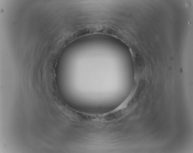 X0000070430961200606231914