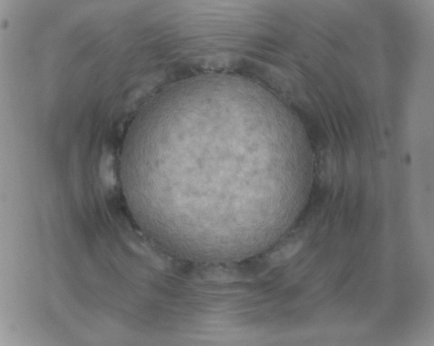 X0000070430962200606231914