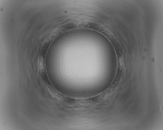 X0000070430963200606231914