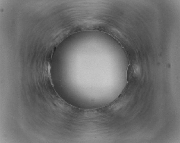 X0000070430964200606231914