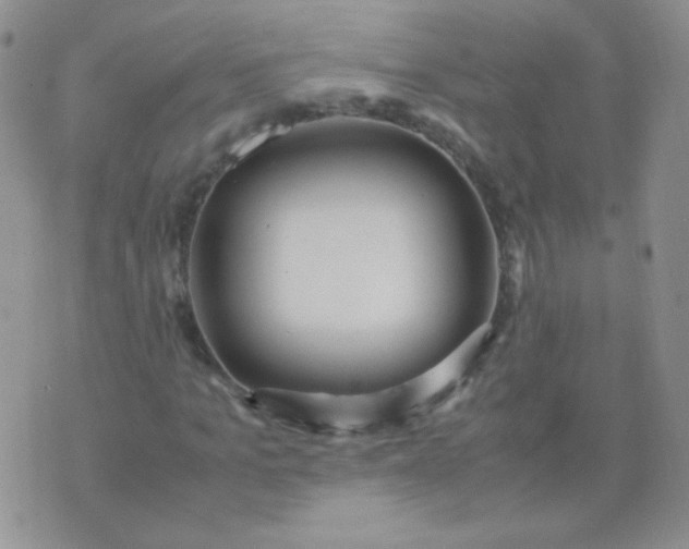 X0000070430965200606231914