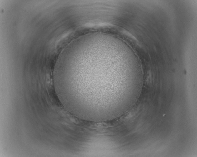 X0000070430966200606231914