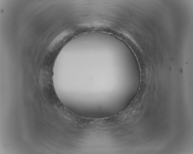 X0000070430967200606231914