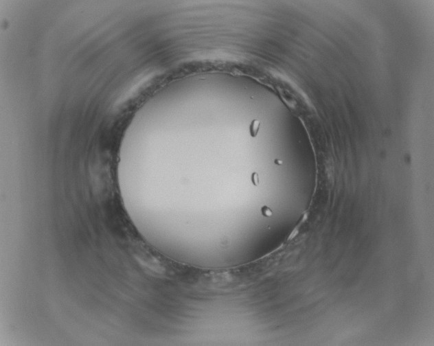 X0000070430968200606231914