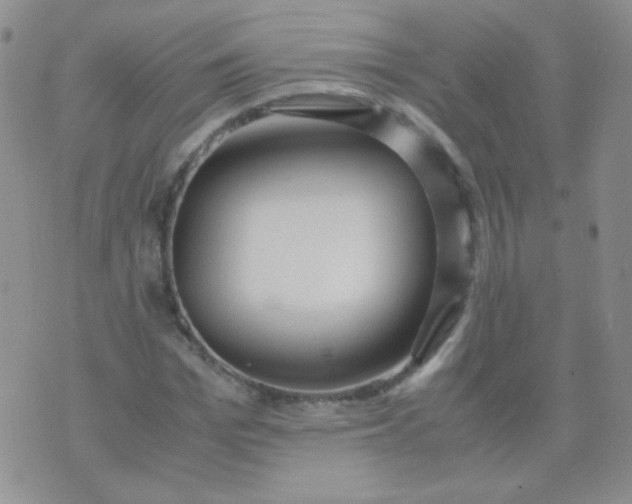 X0000070430969200606231914