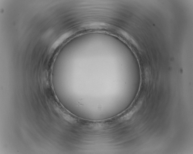 X0000070430970200606231914