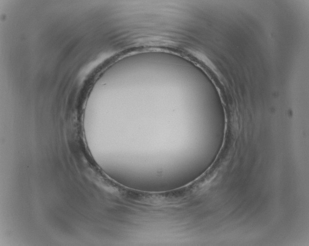 X0000070430971200606231914