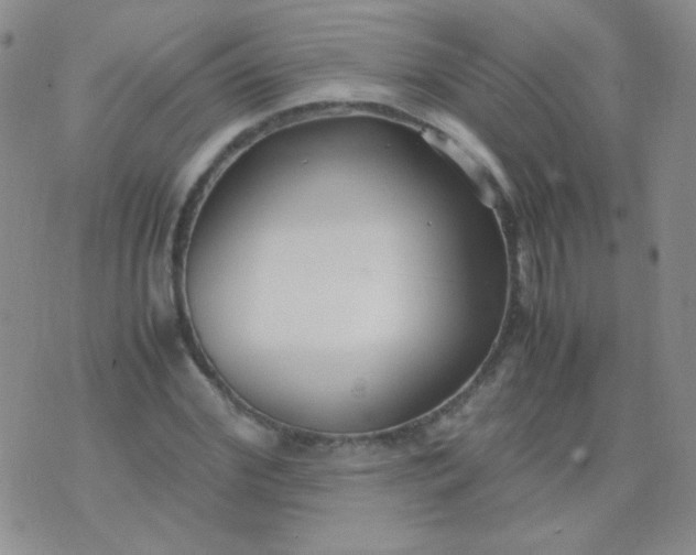 X0000070430972200606231914