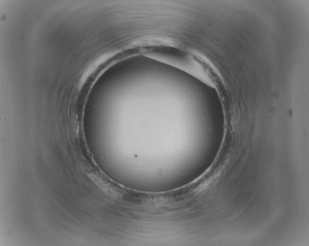 X0000070430973200606231914