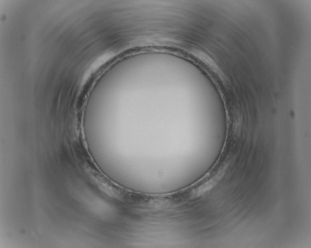 X0000070430974200606231914