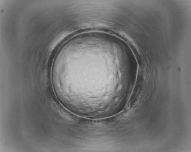 X0000070430975200606231914