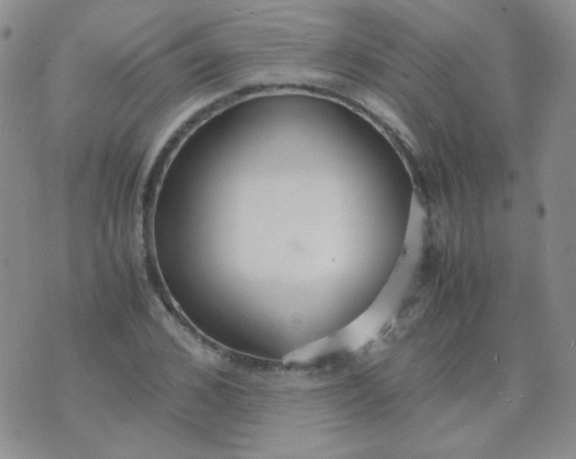 X0000070430976200606231914