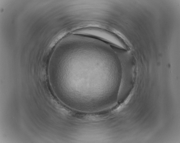 X0000070430977200606231914