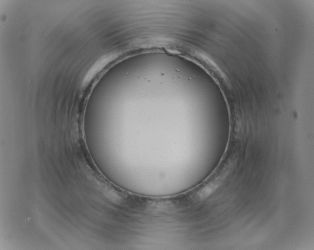 X0000070430978200606231914