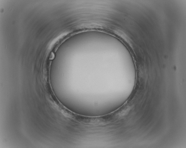 X0000070430979200606231914