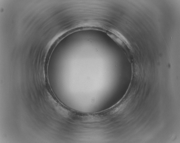 X0000070430980200606231914