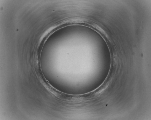 X0000070430981200606231914