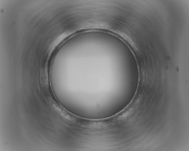 X0000070430982200606231914