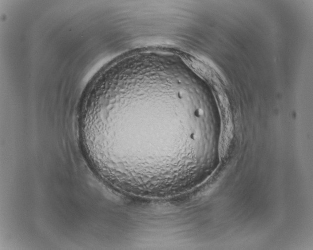 X0000070430983200606231913