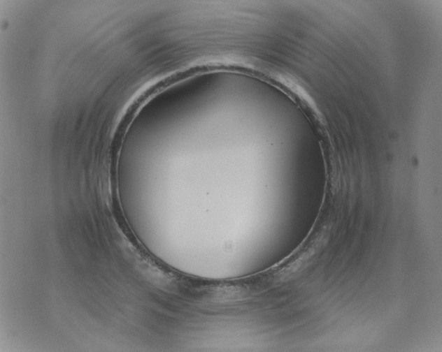 X0000070430984200606231913