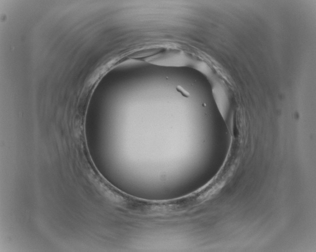 X0000070430985200606231913