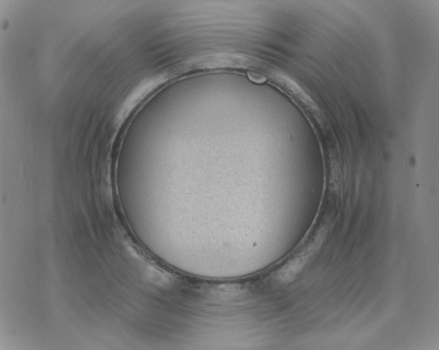 X0000070430986200606231913