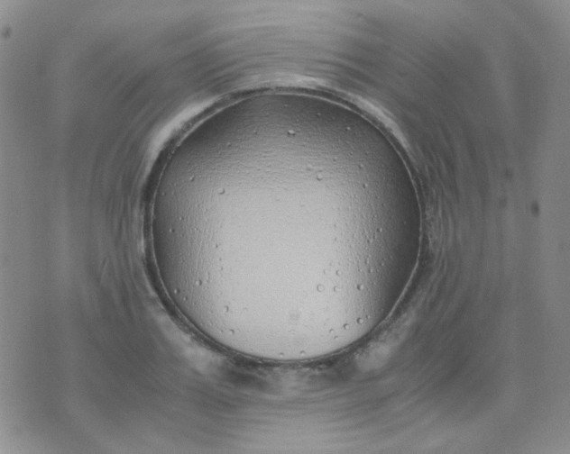 X0000070430987200606231913