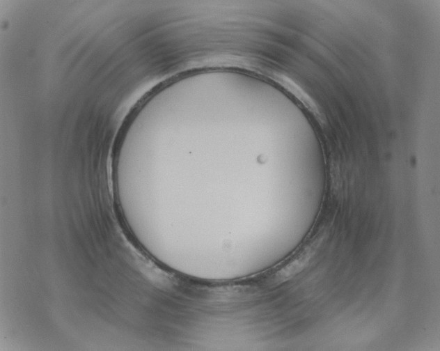 X0000070430988200606231913